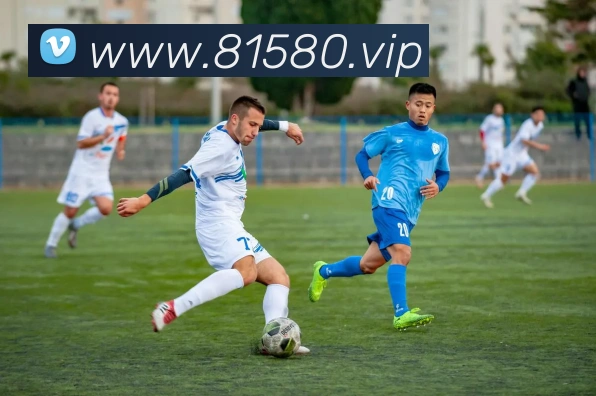 8868体育官方入口全站App